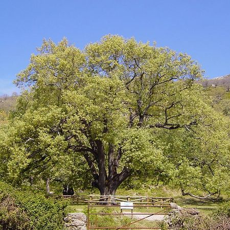 Casa Rural Romanejo Кабесабельоса Экстерьер фото