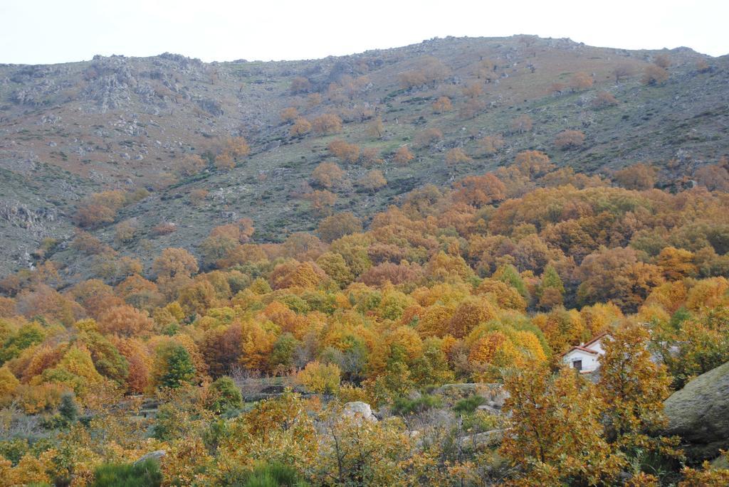 Casa Rural Romanejo Кабесабельоса Экстерьер фото
